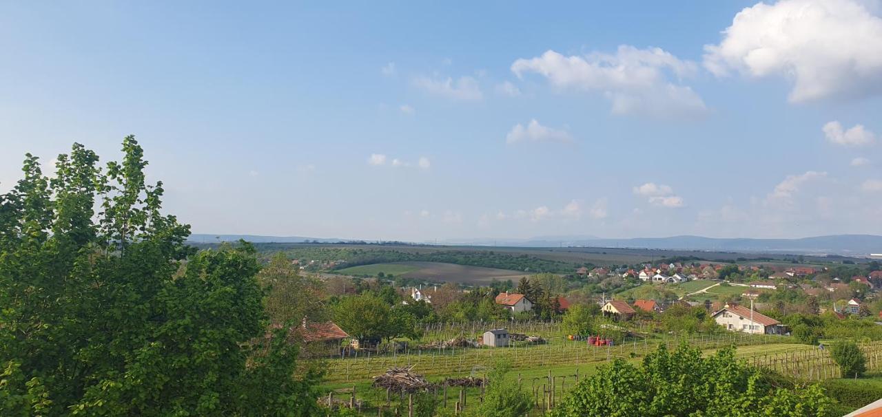 Buborek Apartman - Etyek Exterior foto